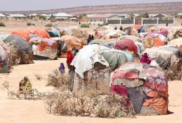 Emergency sustenance and humanitarian rehabilitation for IDPs by CCDF
